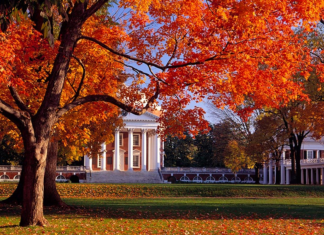 Fall Fun in Charlottesville: Top 5 Activities
